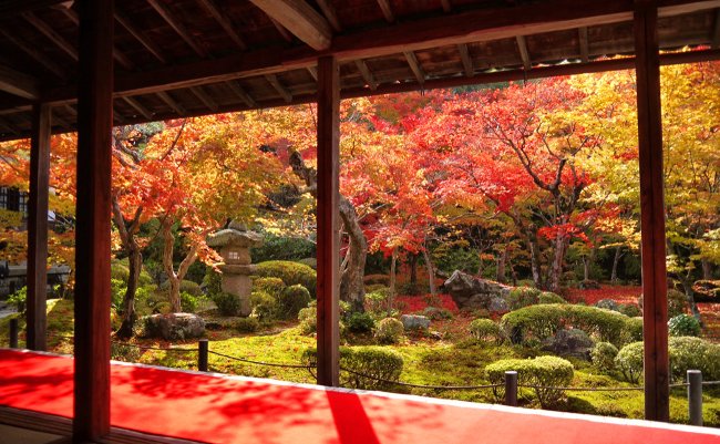 人が集まるのには訳がある。京都一乗寺エリアであなたを待つ紅葉