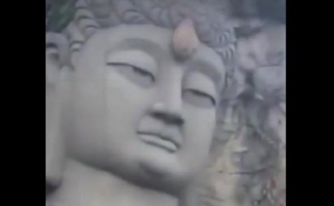 e045dedd730c88b1b842e71928e64c5e copy