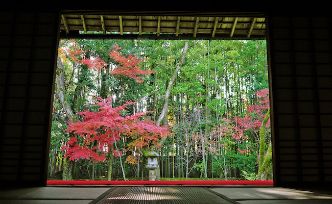 たまには、欲張ってみる。一休禅師ゆかりの大徳寺で特別の紅葉を