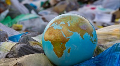 shutterstock_1168263292