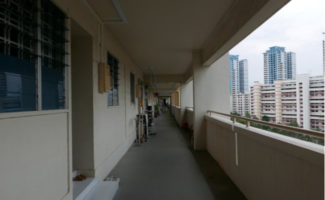 shutterstock_1201479412