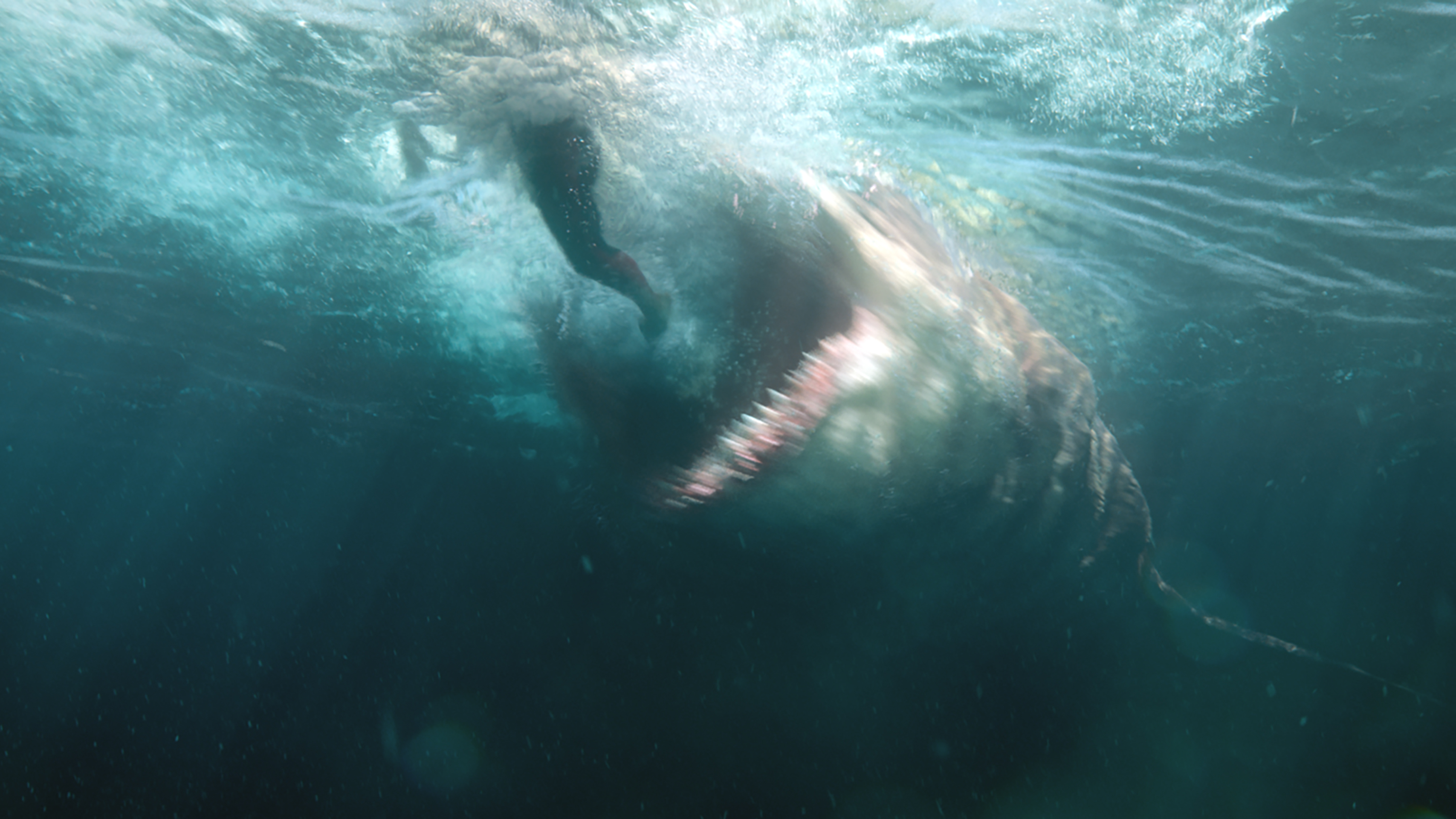 THE MEG