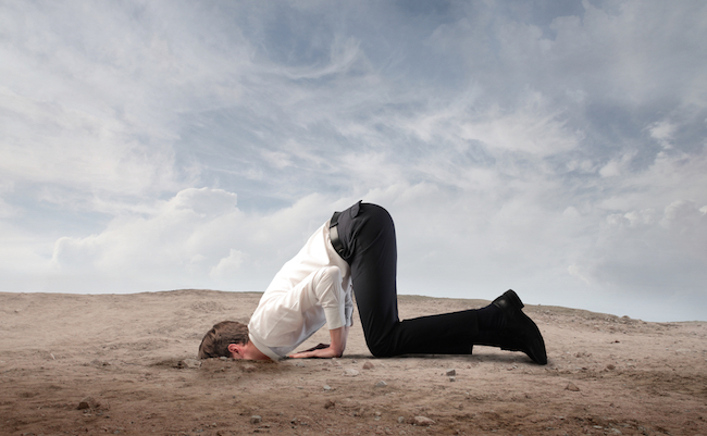 shutterstock_102476615