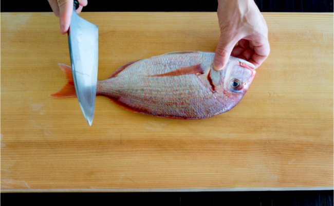 shutterstock_1199277250