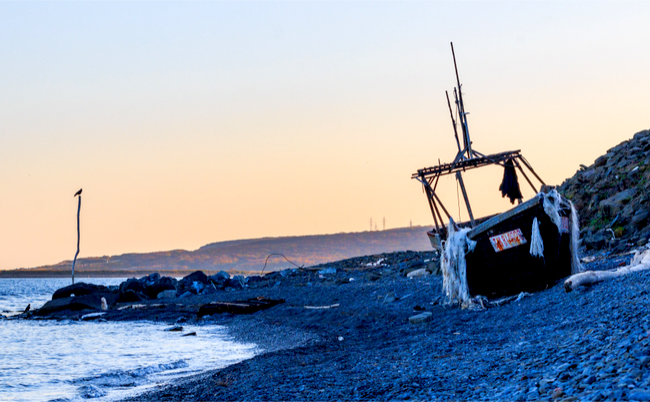 shutterstock_1240714276