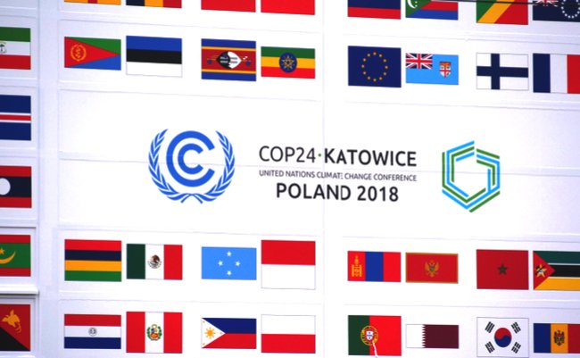 shutterstock_1251923248