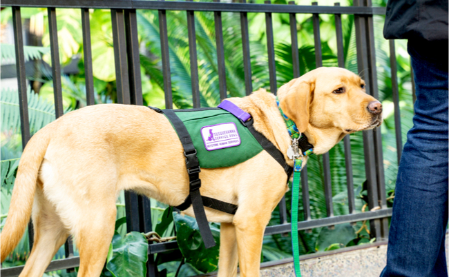 shutterstock_1263574591