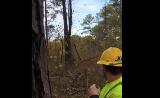 b78eb53cea3318ce7952e85e3410b824 copy