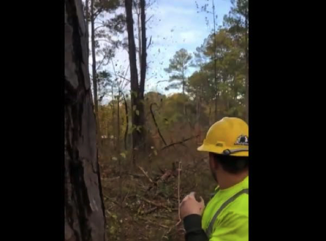 b78eb53cea3318ce7952e85e3410b824 copy