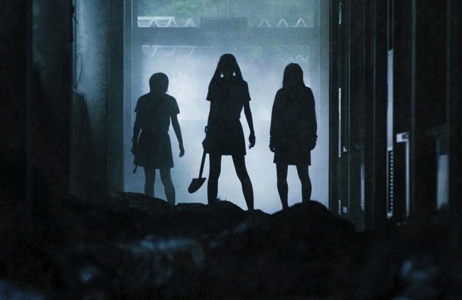 d34651-32-704621-8 copy