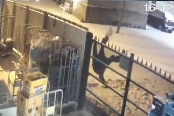 f801772f5331323287ecdc3b390f5bff