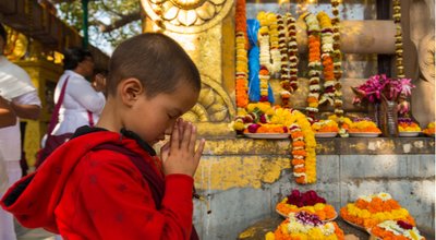 shutterstock_1134850598