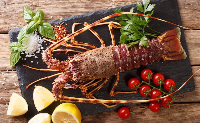 shutterstock_1162746133