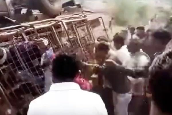 9eeec017d91e44b8b2532a8d92adedae