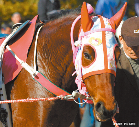 33_「負け組の星」 ハルウララ