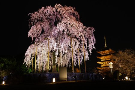 kyoto20190207-1