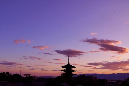 秀吉も見上げた楼閣 この春 京都の空に五重塔と桜吹雪を愛でる ページ 2 2 まぐまぐニュース