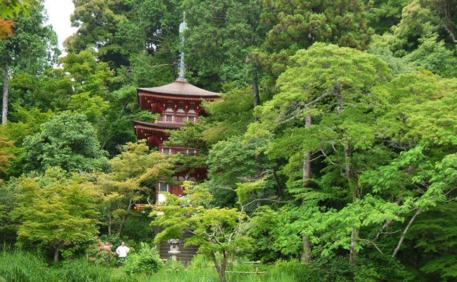 この地に足を運んでこその京都通。古刹・浄瑠璃寺にまつわる秘密