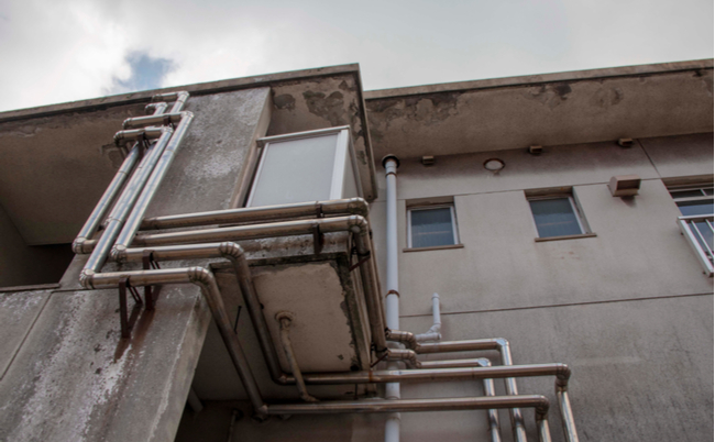 shutterstock_1236610063