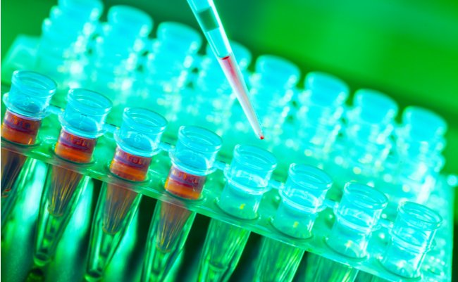 shutterstock_185846438