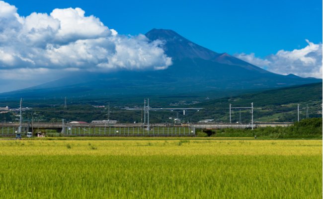 shutterstock_501284962