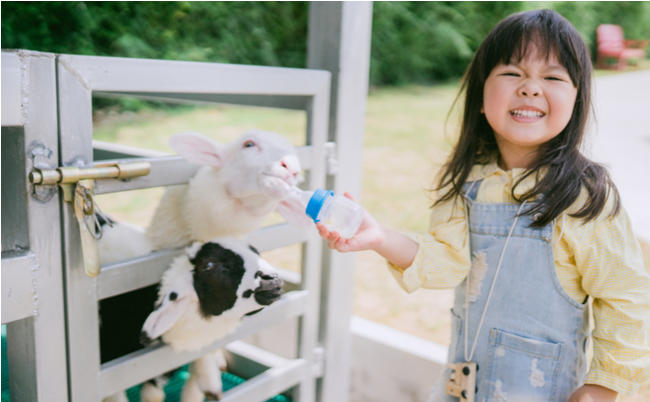 shutterstock_635411705