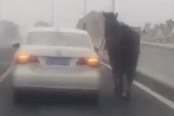 293c218fd39310bf14e61513ab01b072