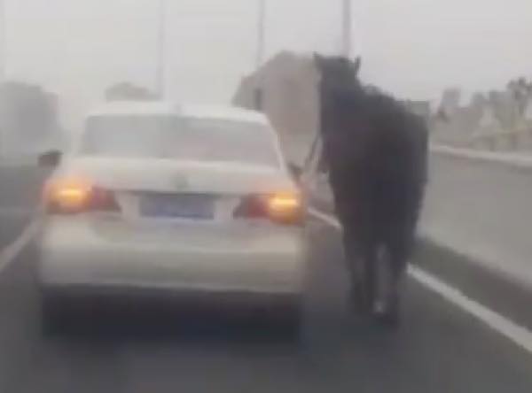 293c218fd39310bf14e61513ab01b072