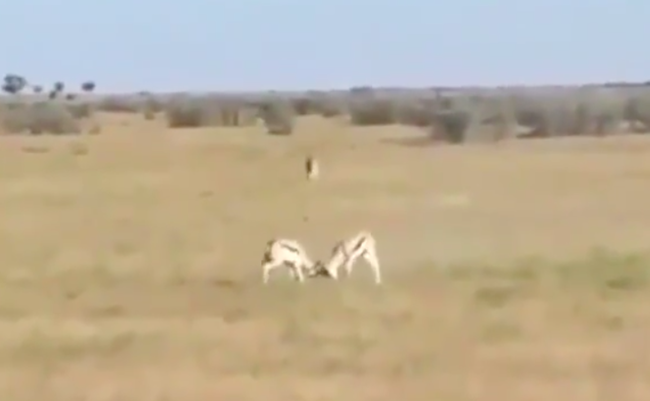 スクリーンショット 2019-03-22 17.44.37