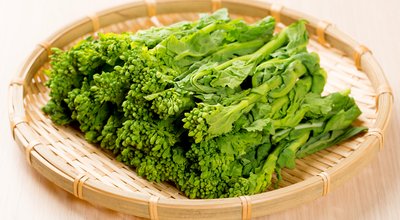 shutterstock_679364824