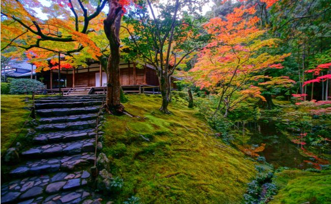 緑の絨毯の中で、深呼吸。京都「苔寺」で仏教の宇宙観に耽る旅へ