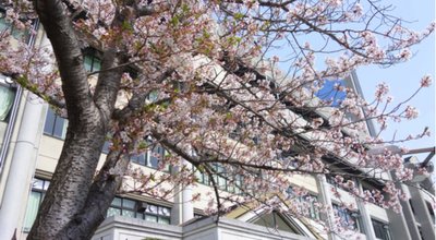 shutterstock_1062870080