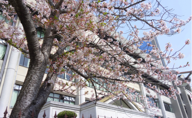 shutterstock_1062870080