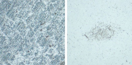 梅雨到来で高温多湿…カビが発育しにくいキッチンは?