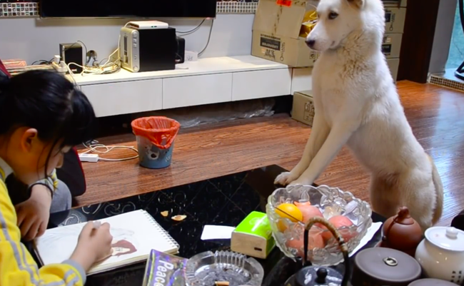 スクリーンショット 2019-05-27 19.50.00