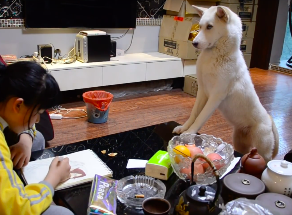 スクリーンショット 2019-05-27 19.50.00