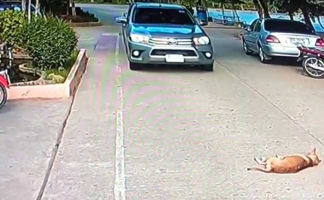 スクリーンショット 2019-05-21 17.35.48