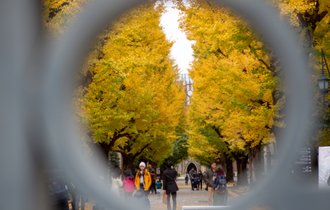 名ばかりの「大学無償化法」、ニセ看板では問題など解決せぬ理由