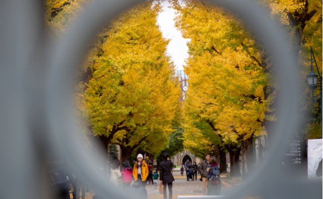 shutterstock_1357772369