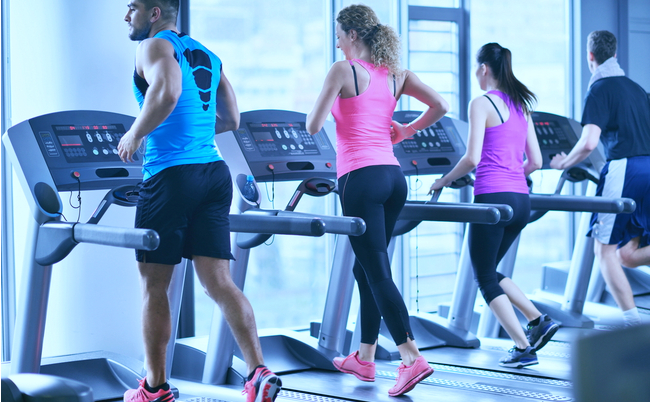 shutterstock_261265052