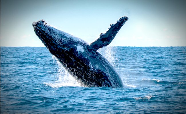 shutterstock_365791514