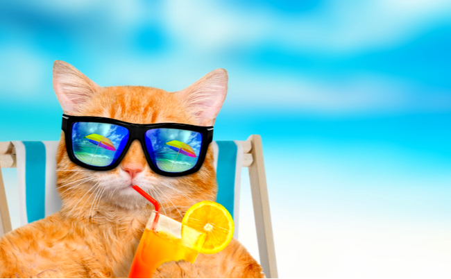 shutterstock_639551509