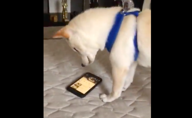 スクリーンショット 2019-06-20 19.12.50