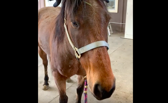 スクリーンショット 2019-06-03 19.34.59