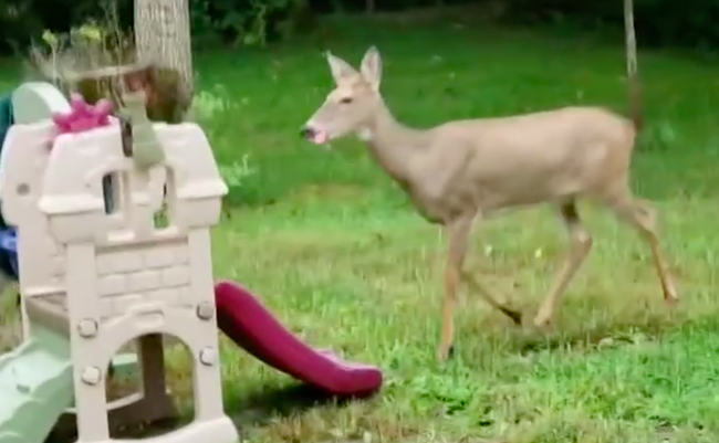 スクリーンショット 2019-06-07 20.14.29