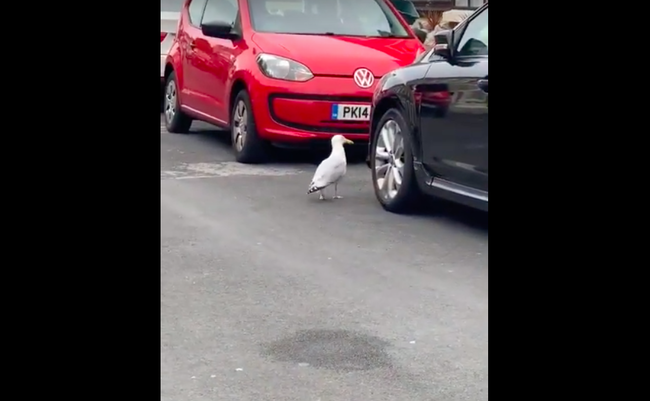 スクリーンショット 2019-06-17 19.11.20