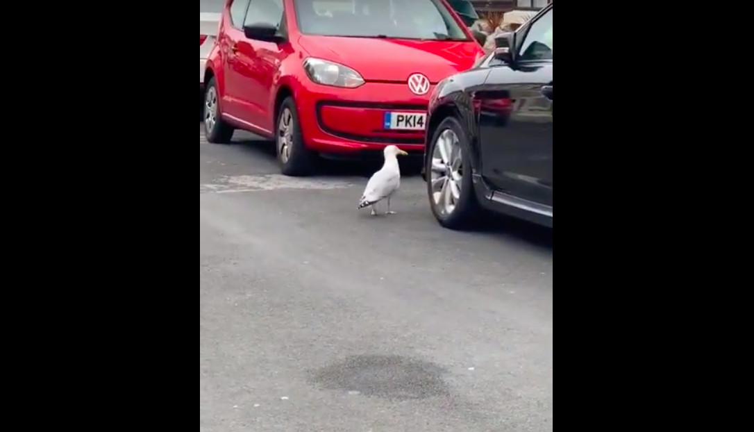 スクリーンショット 2019-06-17 19.11.20