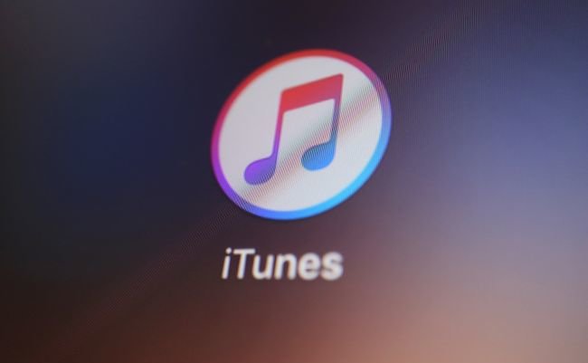 shutterstock_1156766326