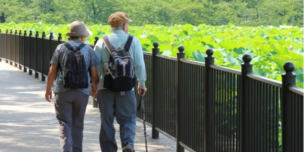 shutterstock_1212386947