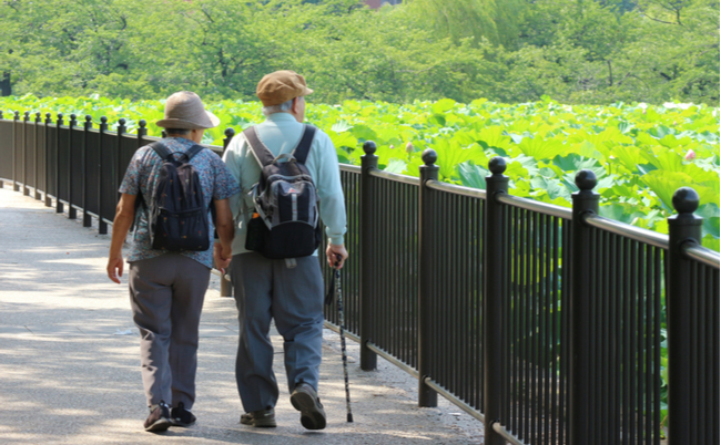 shutterstock_1212386947